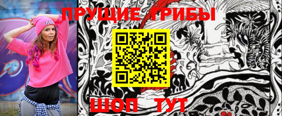 Псилоцибиновые грибы MAGIC MUSHROOMS  Вход с VPN  Реутов 